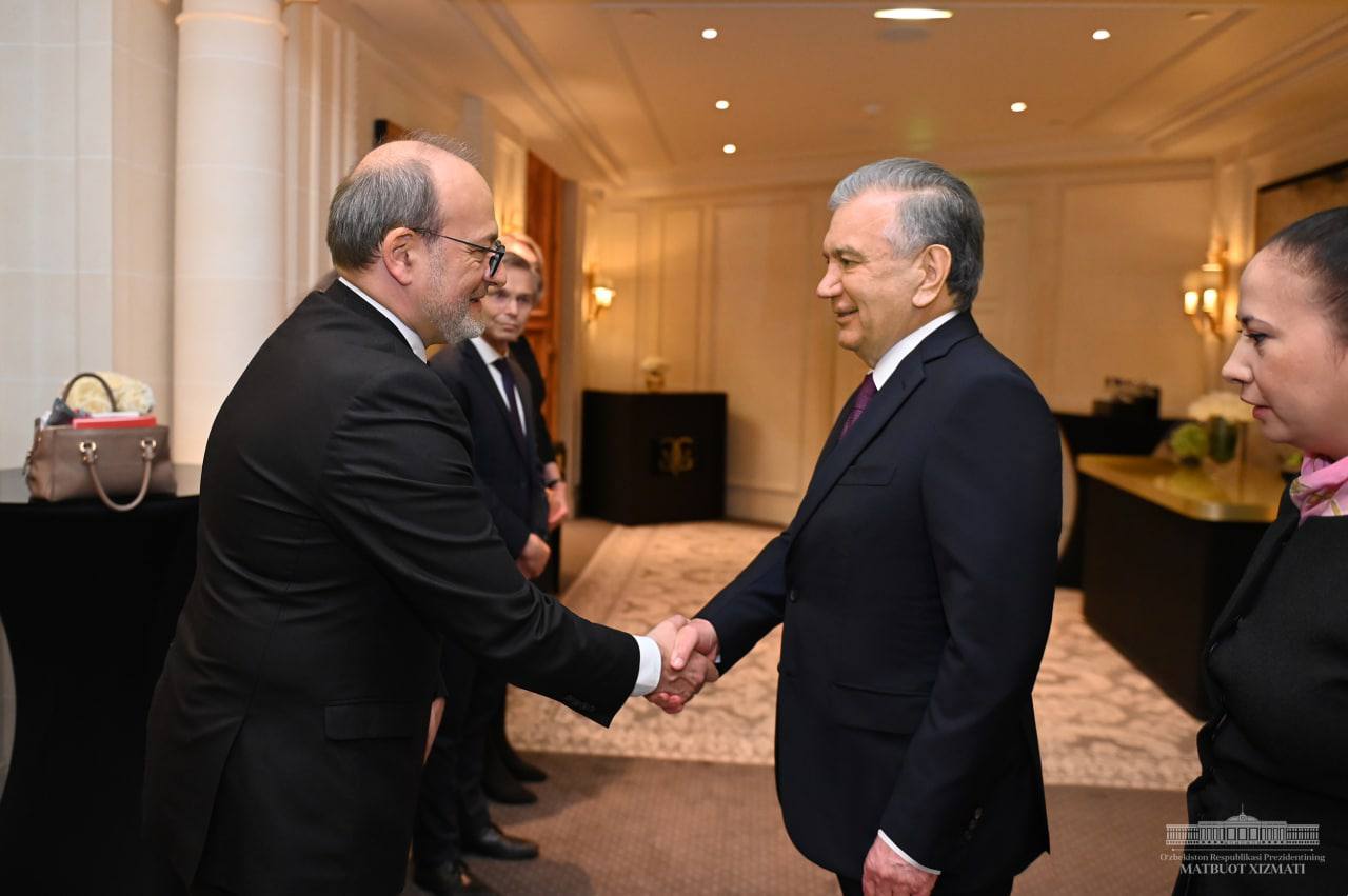 The President of Uzbekistan and the French Development Agency CEO discuss the possibilities of enhancing multifaceted partnership